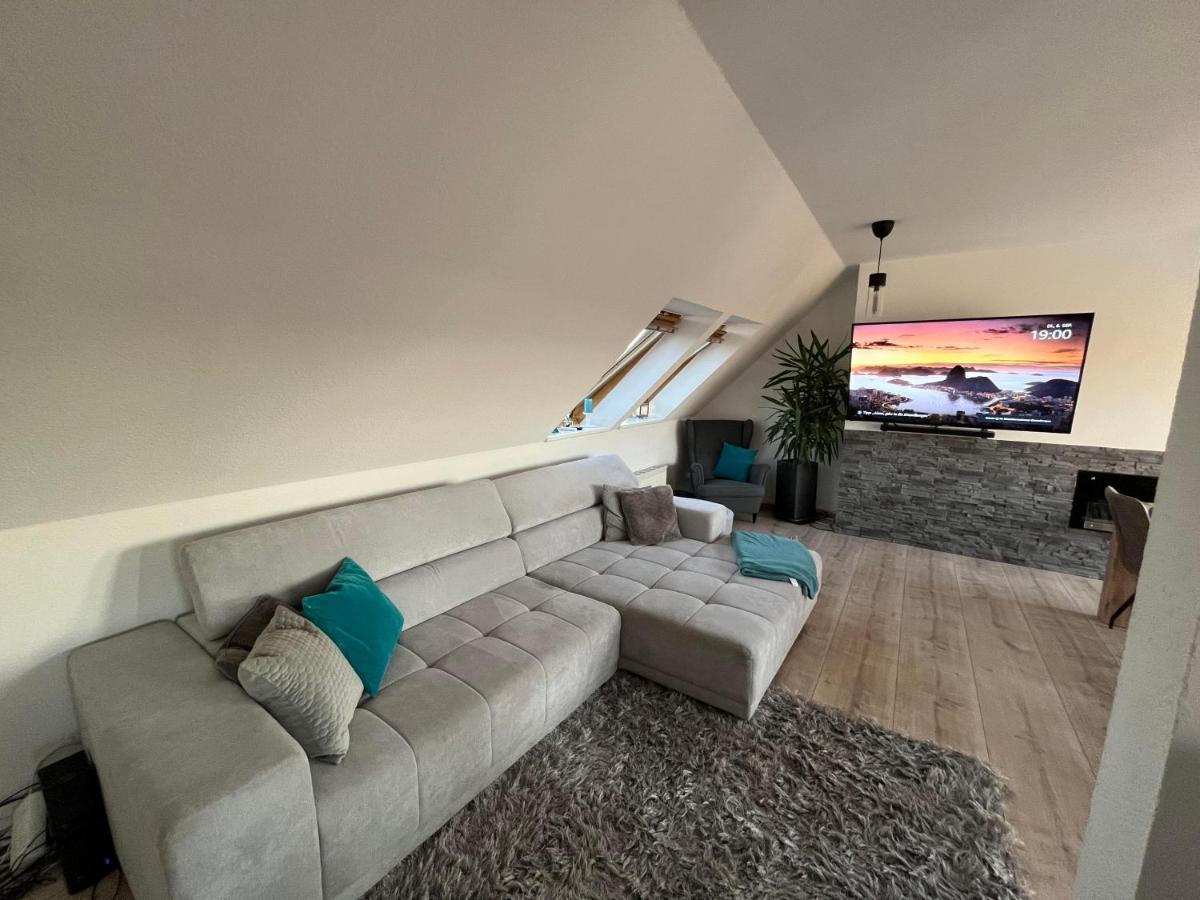 105 Qm Neues Klimatisiertes Appartment Fuer Familien Privater Parkplatz Chemnitz Exterior photo